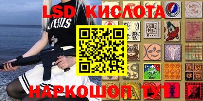 дмт Сланцы